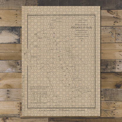 1000 Piece Jigsaw Puzzle 1854 Map of Washington, D.C. Preliminary chart of Stellwagen's