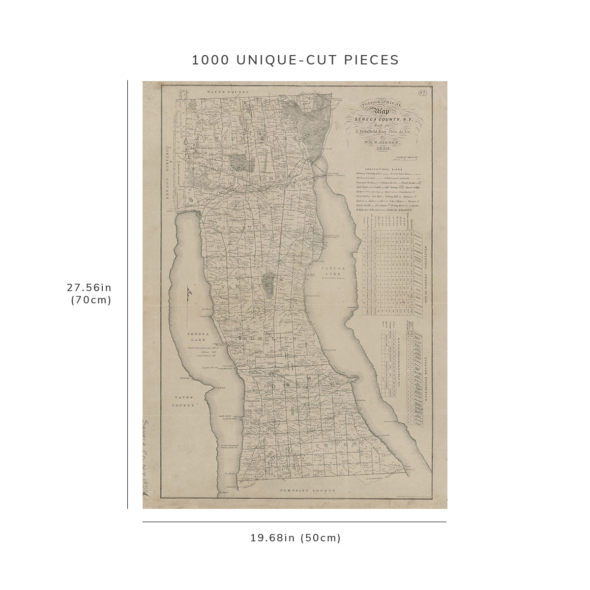 1000 Piece Jigsaw Puzzle: 1850 Map of Albany, N.Y. Topographical Map of Seneca County