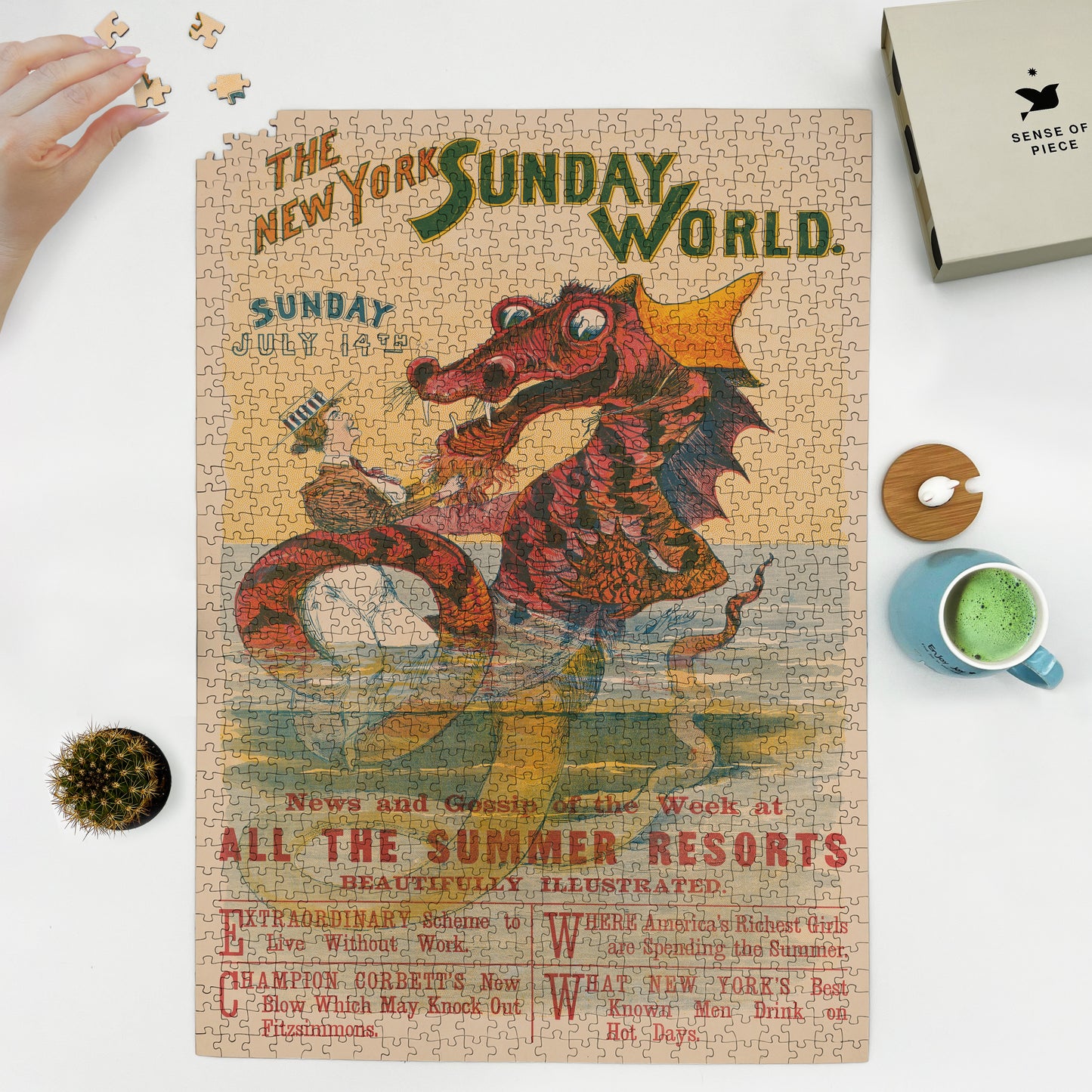 1000 piece puzzle 1895 The New York Sunday World  Sunday July 14th 95 A  Shaw 
