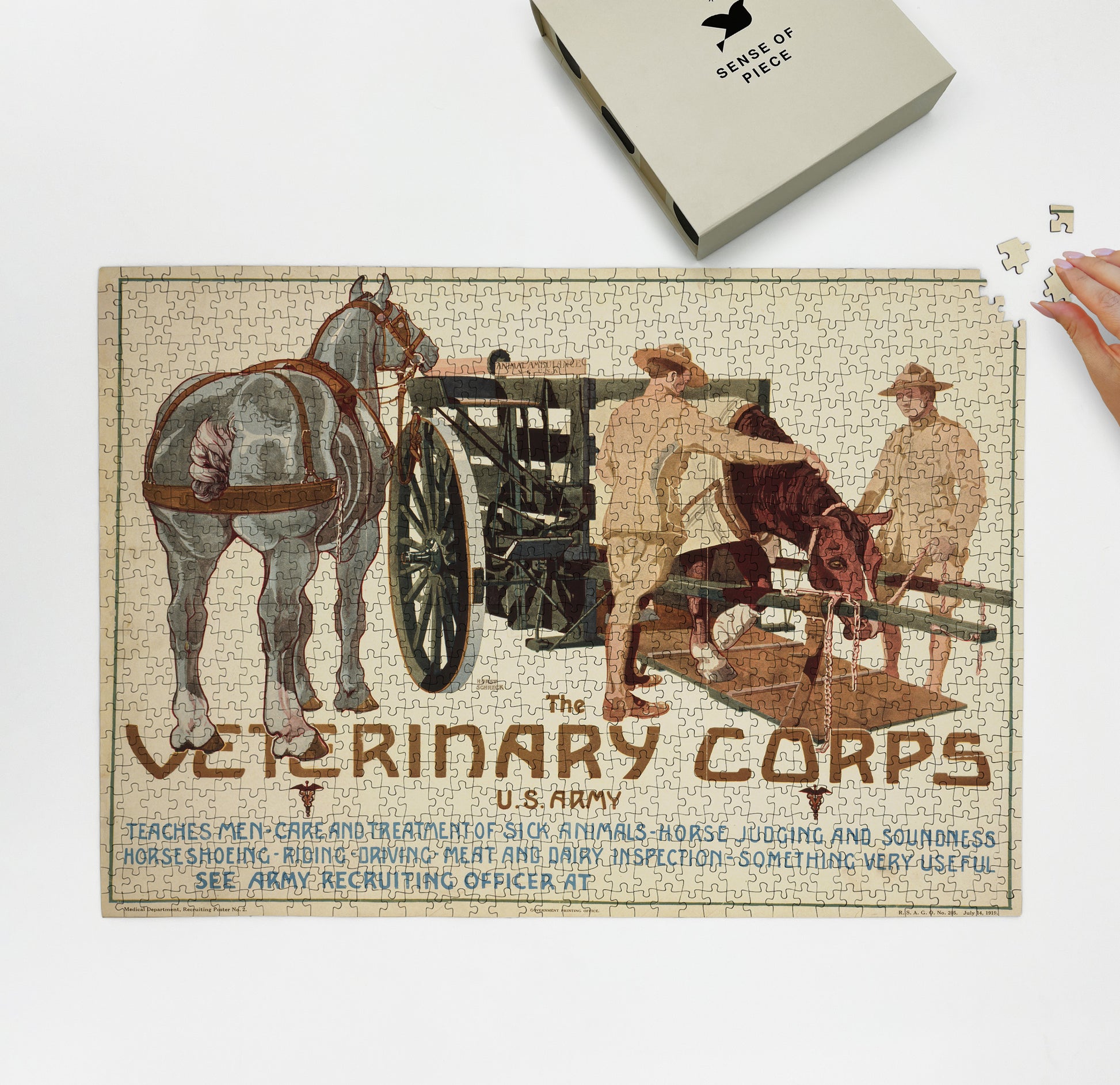 1000 piece puzzle 1919 The Veterinary Corps Horst Schreck 