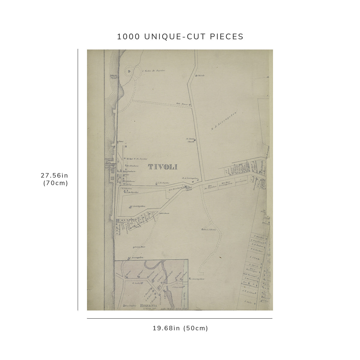 1000 Piece Jigsaw Puzzle: 1876 Map of Reading, Pa. Tivoli Village Hibernia Village Barry
