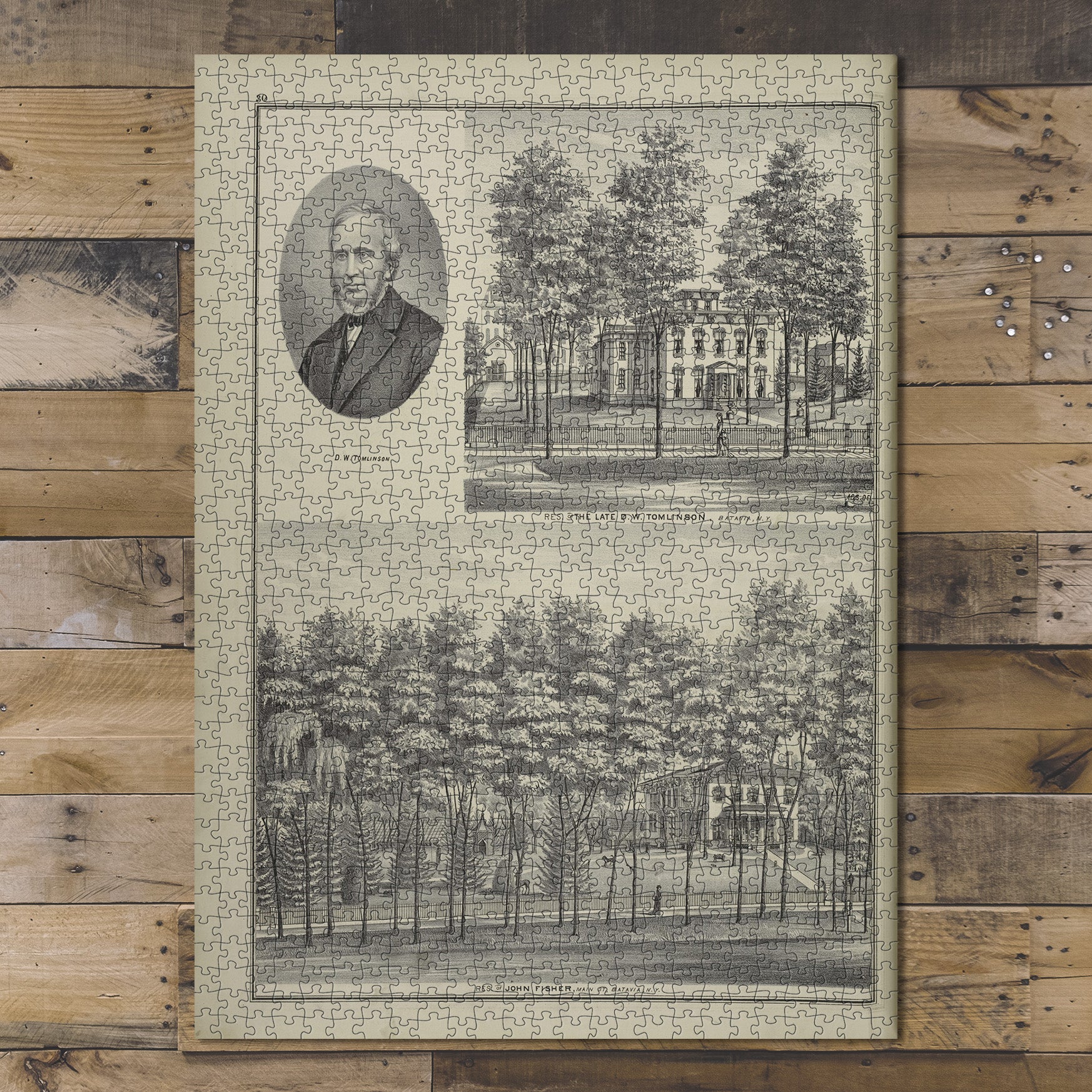 1000 Piece Jigsaw Puzzle 1876 Map of Philadelphia D. W. Tomlinson ; Res. of The Late D.