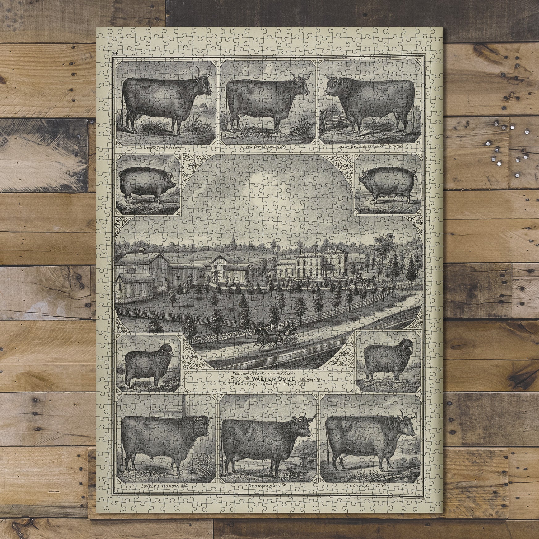 1000 Piece Jigsaw Puzzle 1876 Map of Philadelphia Devom Cow, Helena. ; Devon Cow
