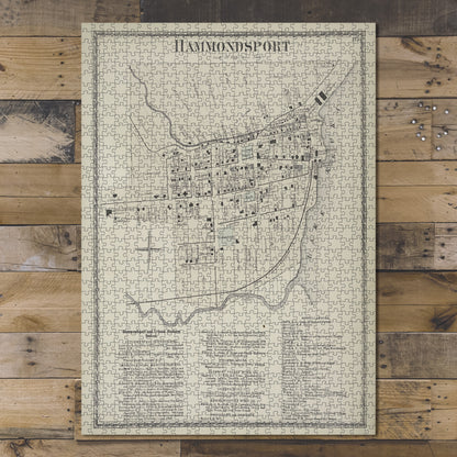 1000 Piece Jigsaw Puzzle 1873 Map of Philadelphia Hammondsport Village Hammondsport