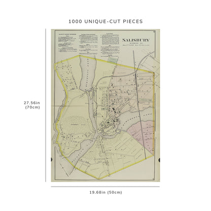 1000 Piece Jigsaw Puzzle: 1877 Map of Philadelphia Salisbury, Wicomico Co. Lake