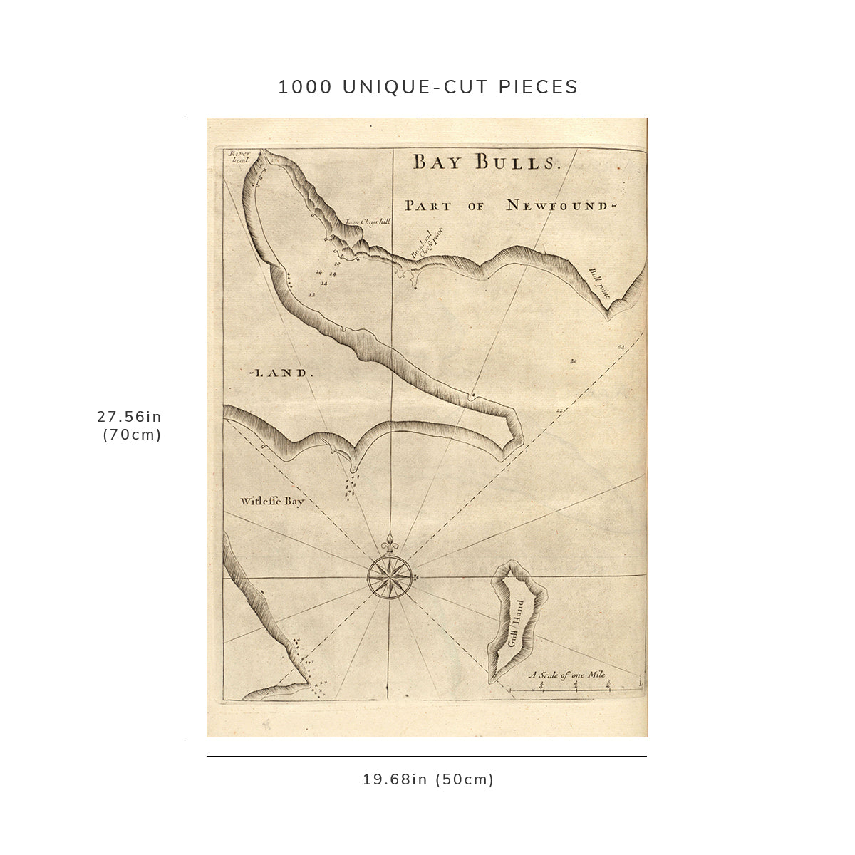 1000 Piece Jigsaw Puzzle: 1737 Map Bulls Bay | Covers the Bay Bulls and Witless
