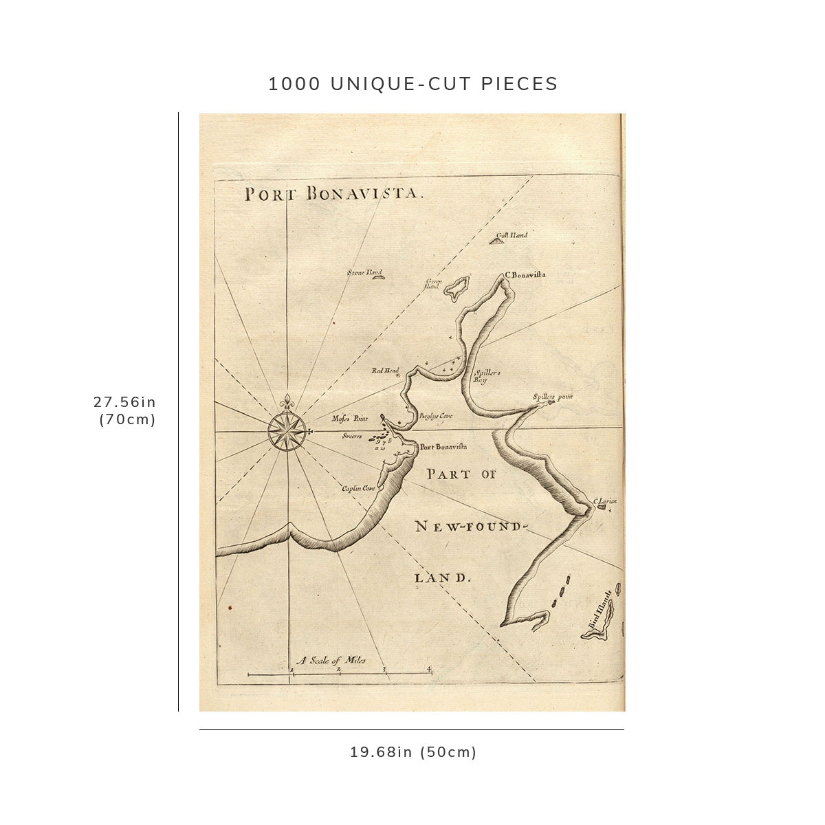 1000 Piece Jigsaw Puzzle: 1737 Map | Port Bonavista Depth shown by soundings