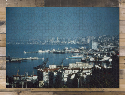 1000 piece puzzle Algiers, general view Family Entertainment Jigsaw Puzzle Game for Adults