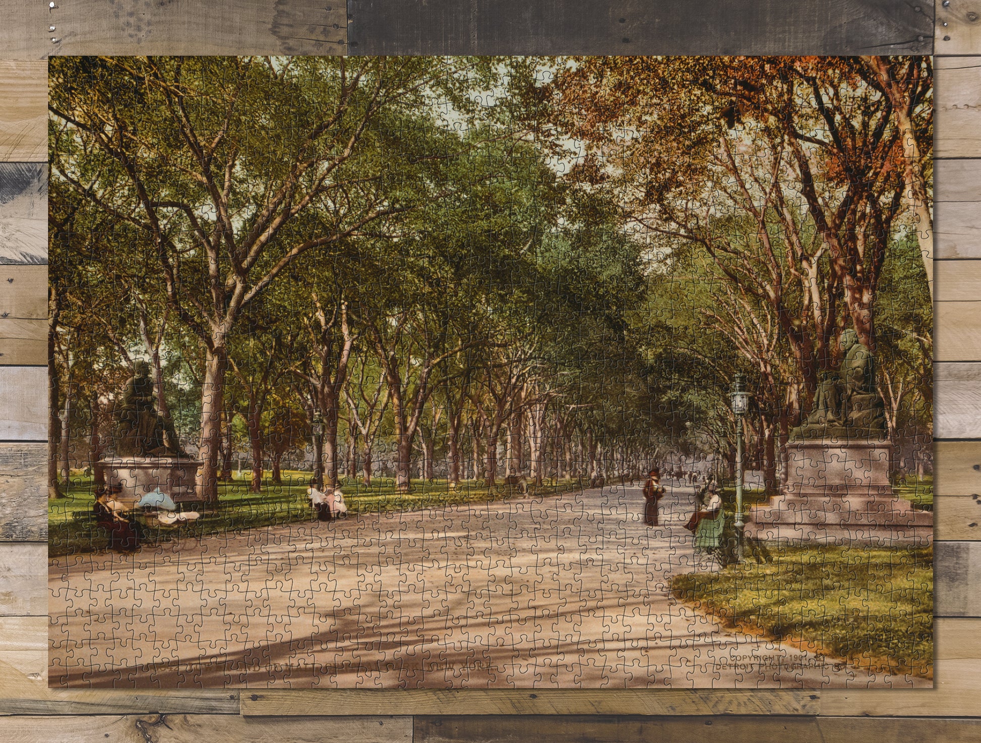 1000 piece puzzle 1901 Lower end Central Park, New York Family Entertainment