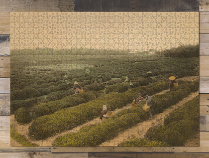 1000 piece puzzle 1916 Tea garden and pickers Uji, Japan Birthday Present Gifts Jigsaw games