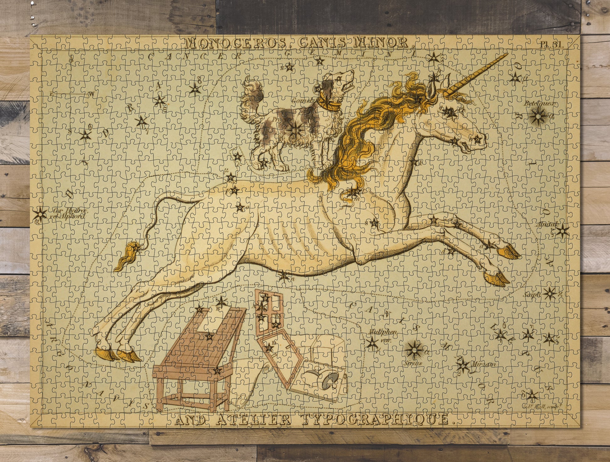 1000 piece puzzle 1825 Photo: Monoceros Canis Minor Atelier Typographique Family Entertainment