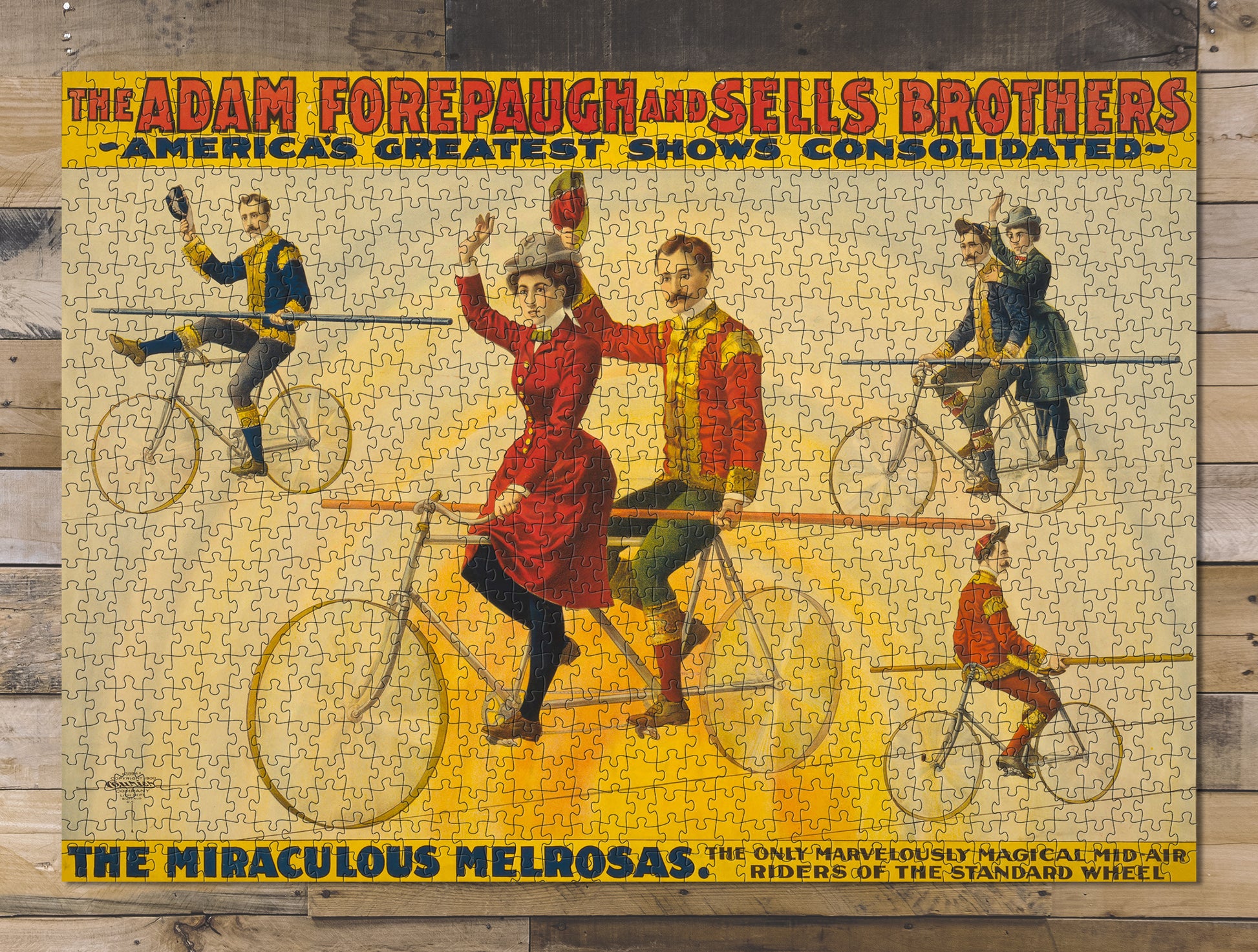 1000 piece puzzle 1900 Photo: The Adam Forepaugh & Sells Brothers The Miraculous Melrosas Cyclists