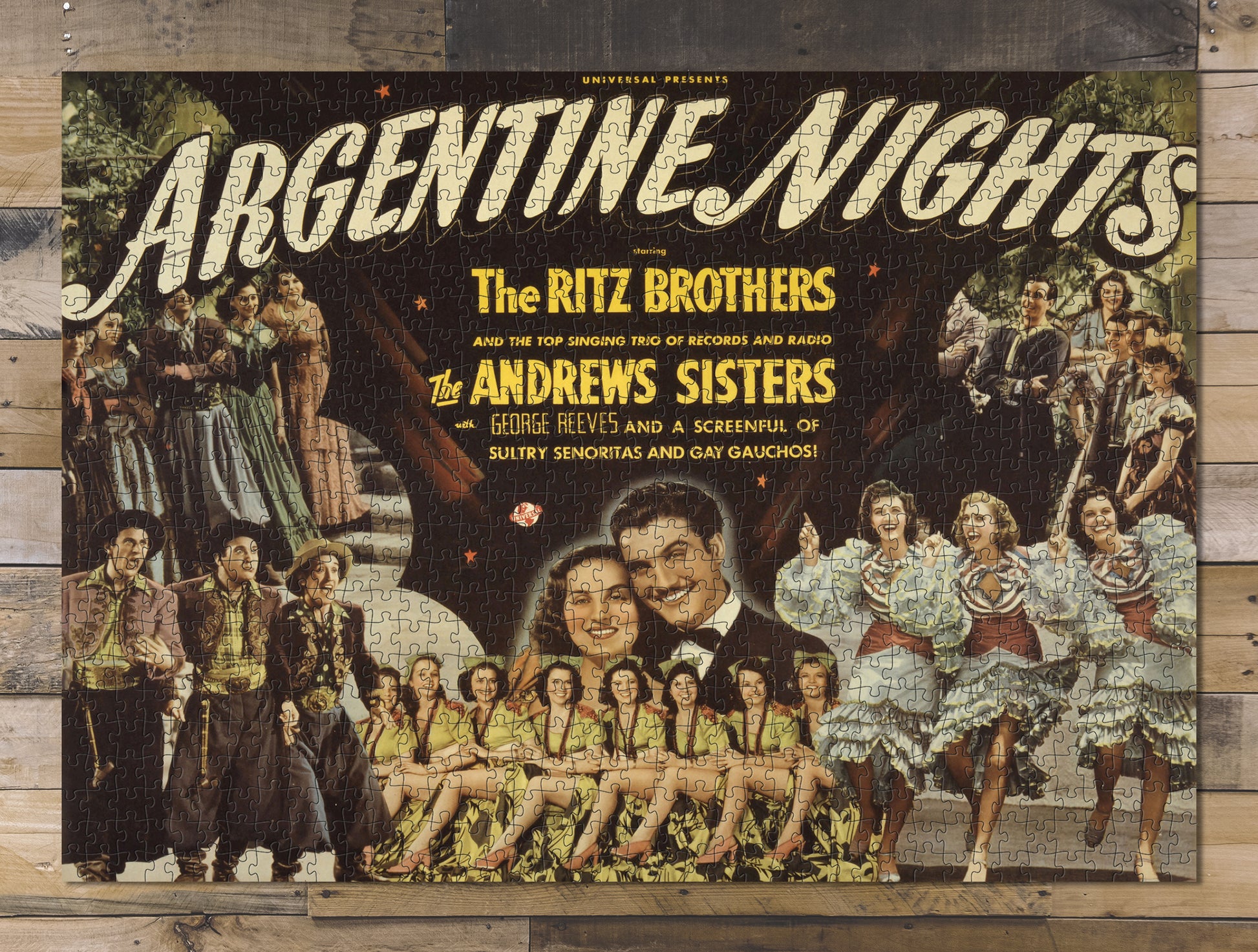 1000 piece puzzle Photo: Argentine nights Jigsaw Puzzle Game for Adults Birthday Present Gifts