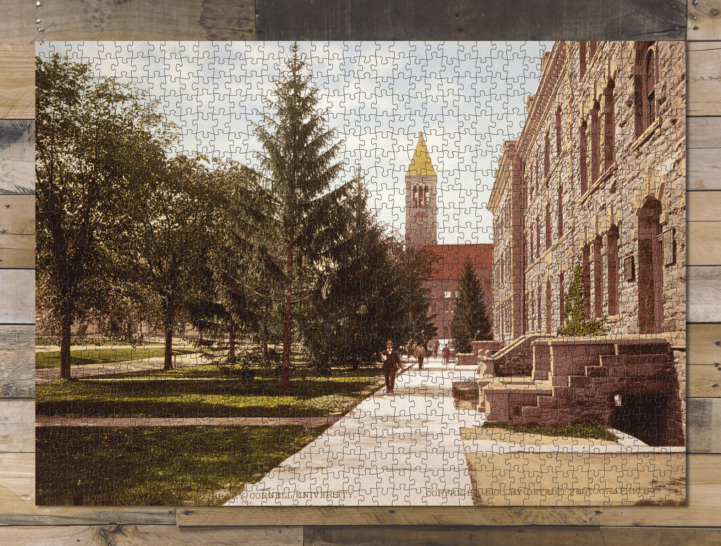1000 piece puzzle 1900 Photo: Morrill Hall Library Cornell Universit Ithaca, New York