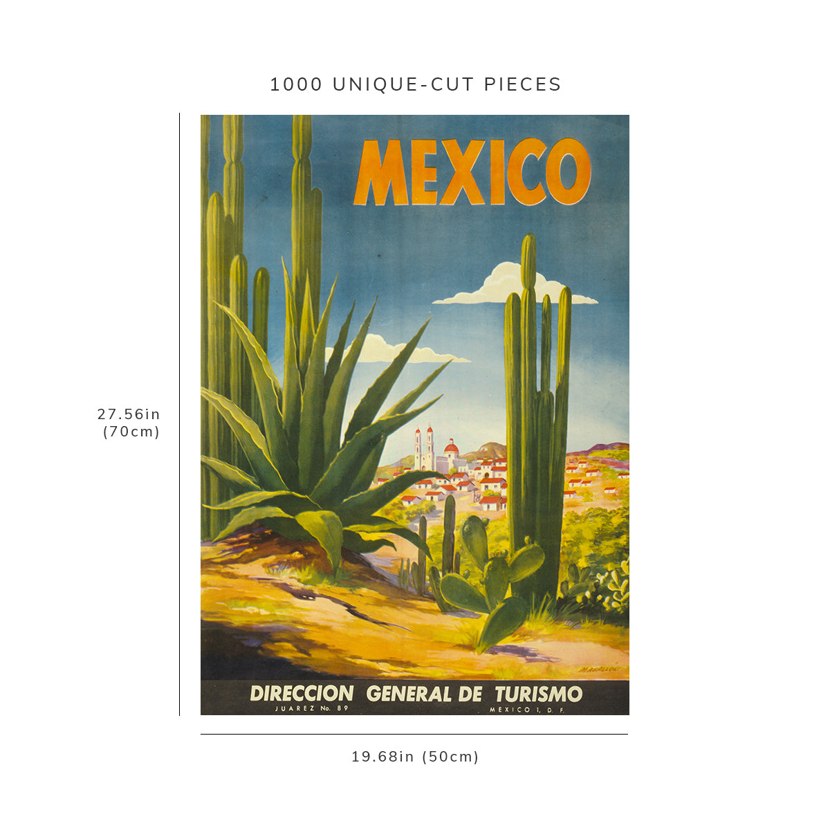 1000 piece puzzle - Photo: cactus with a Mexican village in the background | Family Entertainment