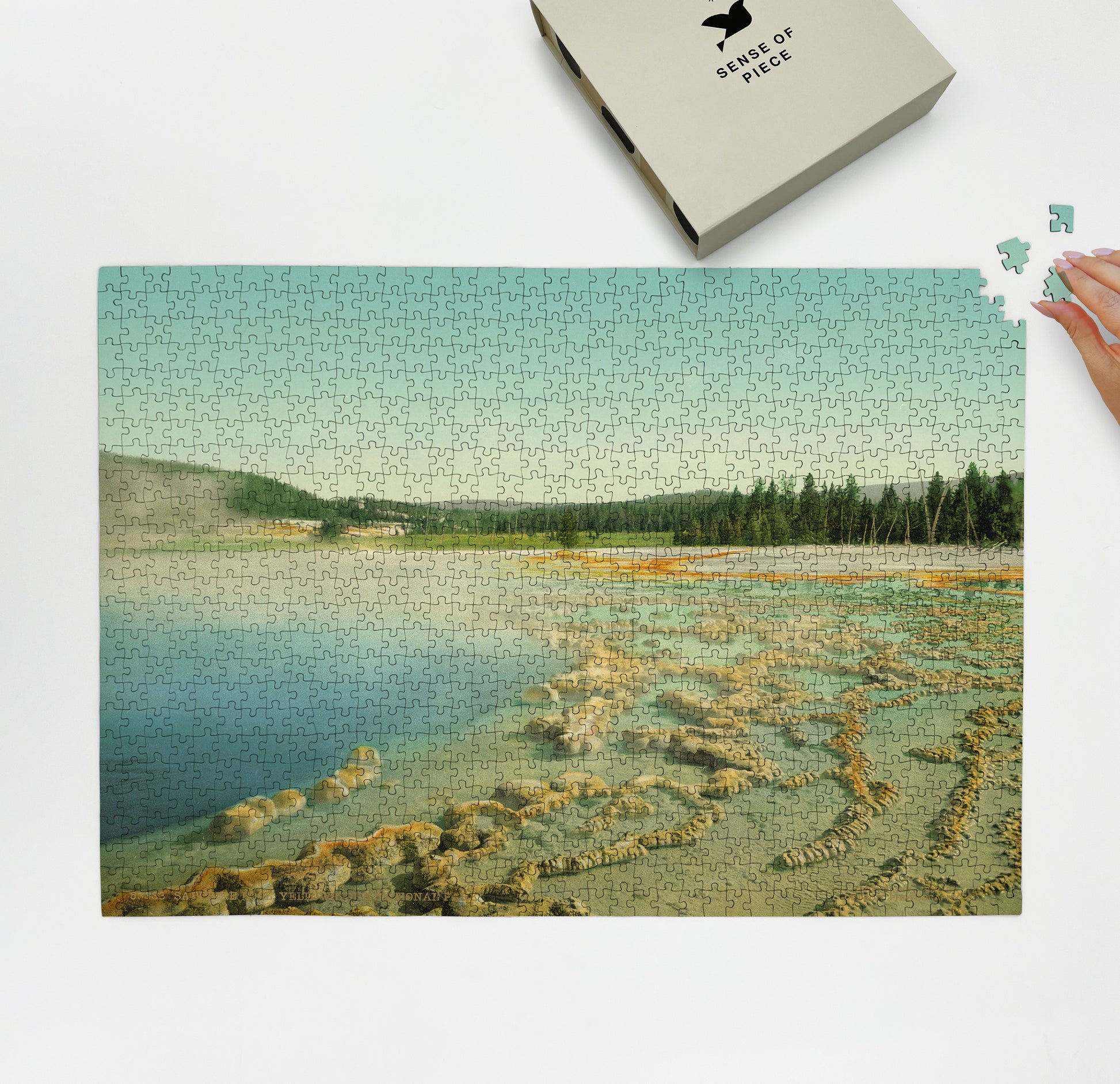 1000 piece puzzle 1902 Sapphire Pool spring Yellowstone National Park, WY