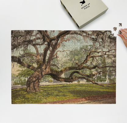 1000 piece puzzle 1900 Live oak Magnolia Cemetery, Charleston, SC Family Entertainment