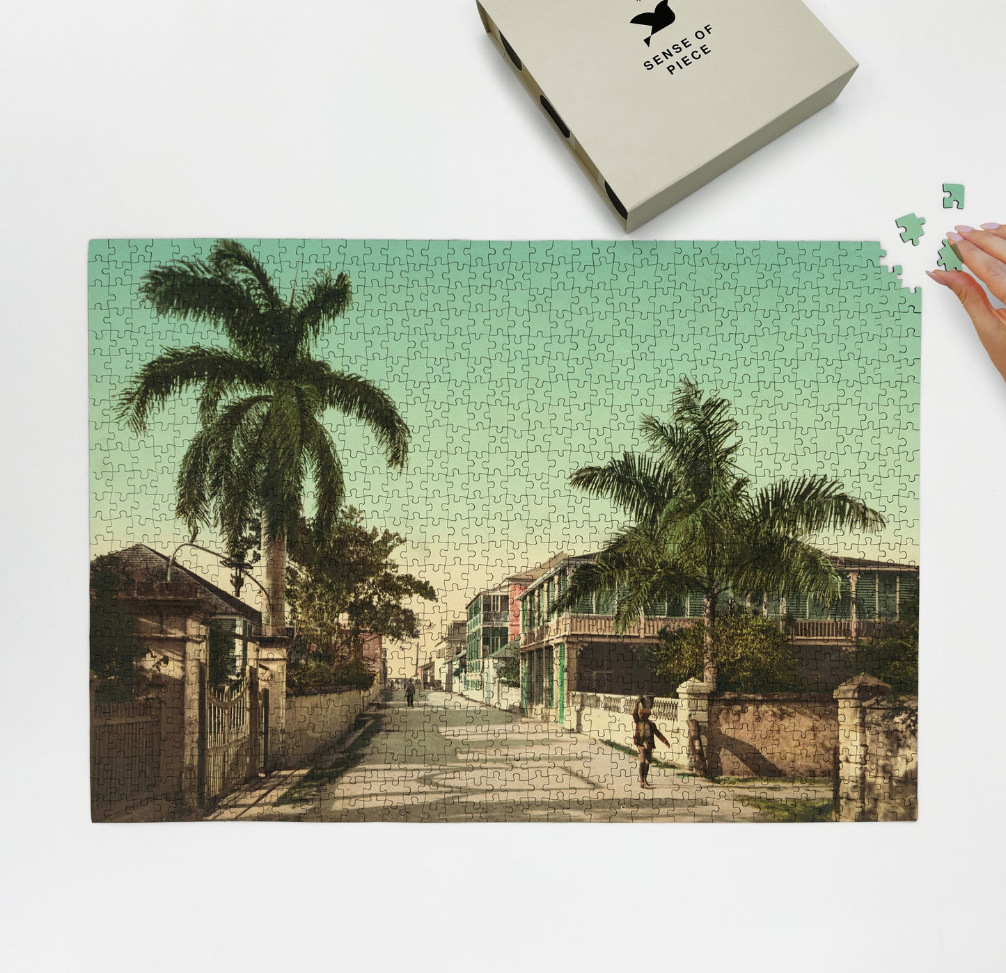 1000 piece puzzle 1901 East Street residential Nassau, Bahama Islands