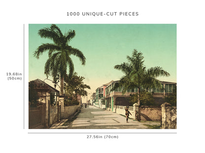 1000 piece puzzle - 1901 | East Street | residential | Nassau, Bahama Islands