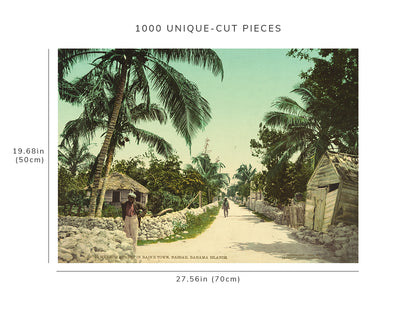 1000 piece puzzle - 1901 | Meadow Street | Bain's Town, Nassau, Bahama Islands | Birthday Present Gifts