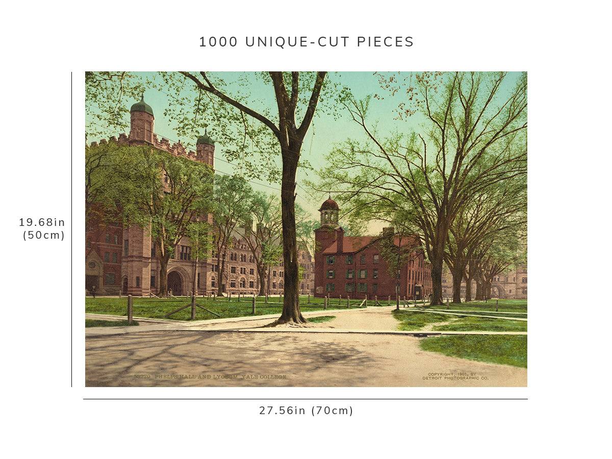 1000 piece puzzle - 1901 | Phelps Hall, Lyceum, Yale College | University | CT | Birthday Present Gifts