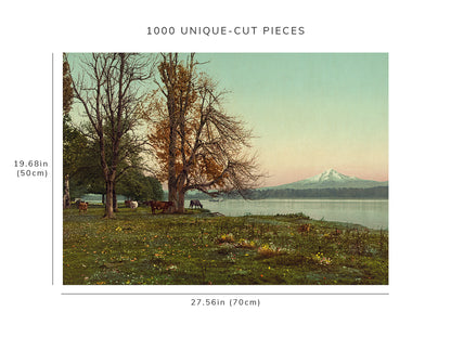1000 piece puzzle - 1901 | Mt Hood | Columbia River, Oregon | OR | Jigsaw Puzzle Game for Adults
