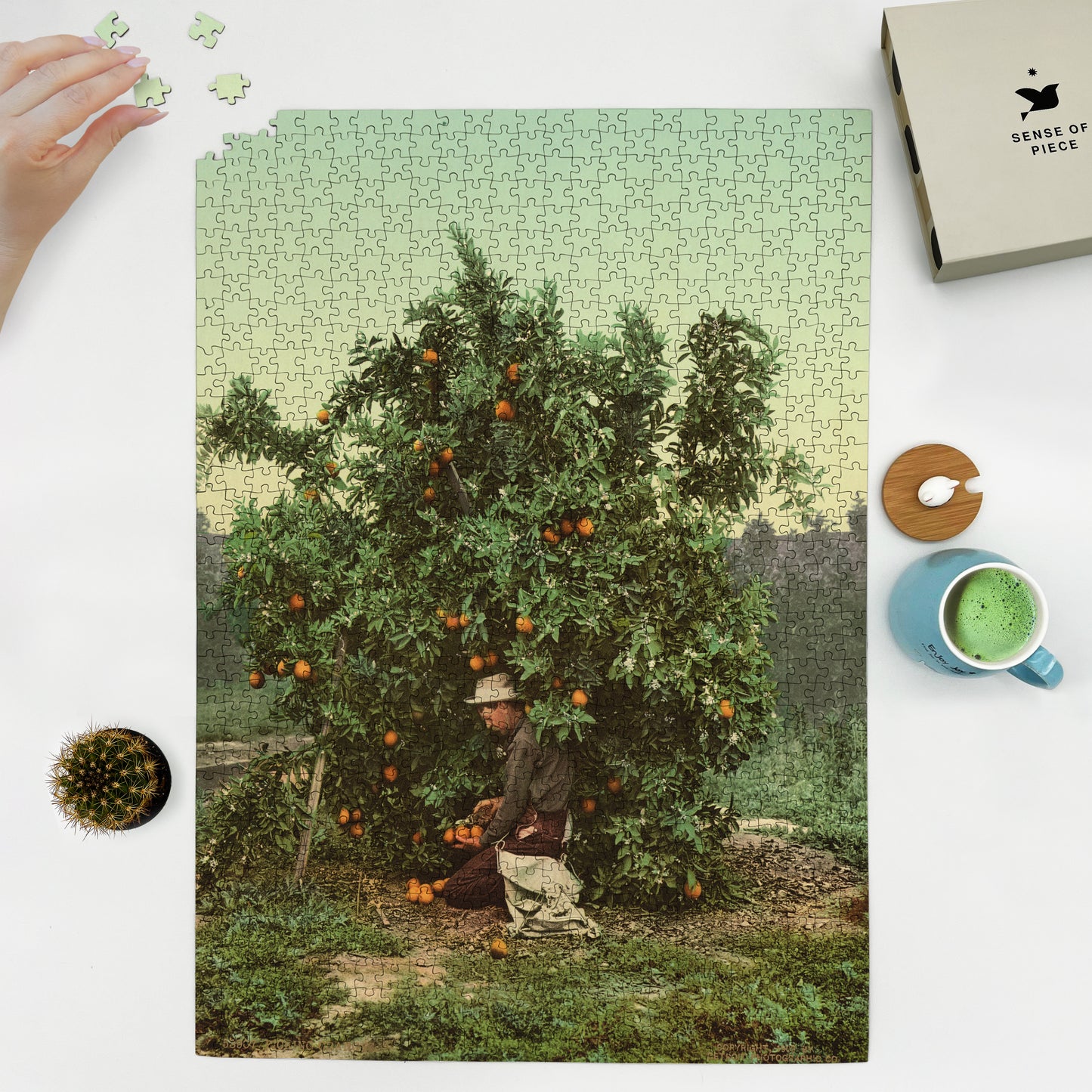 1000 piece puzzle 1902 Picking oranges Jigsaw Puzzle Game for Adults Birthday Present Gifts