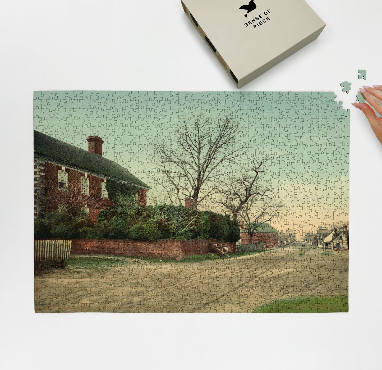 1000 piece puzzle 1902 Nelson House Main Street, Yorktown, Virginia VA