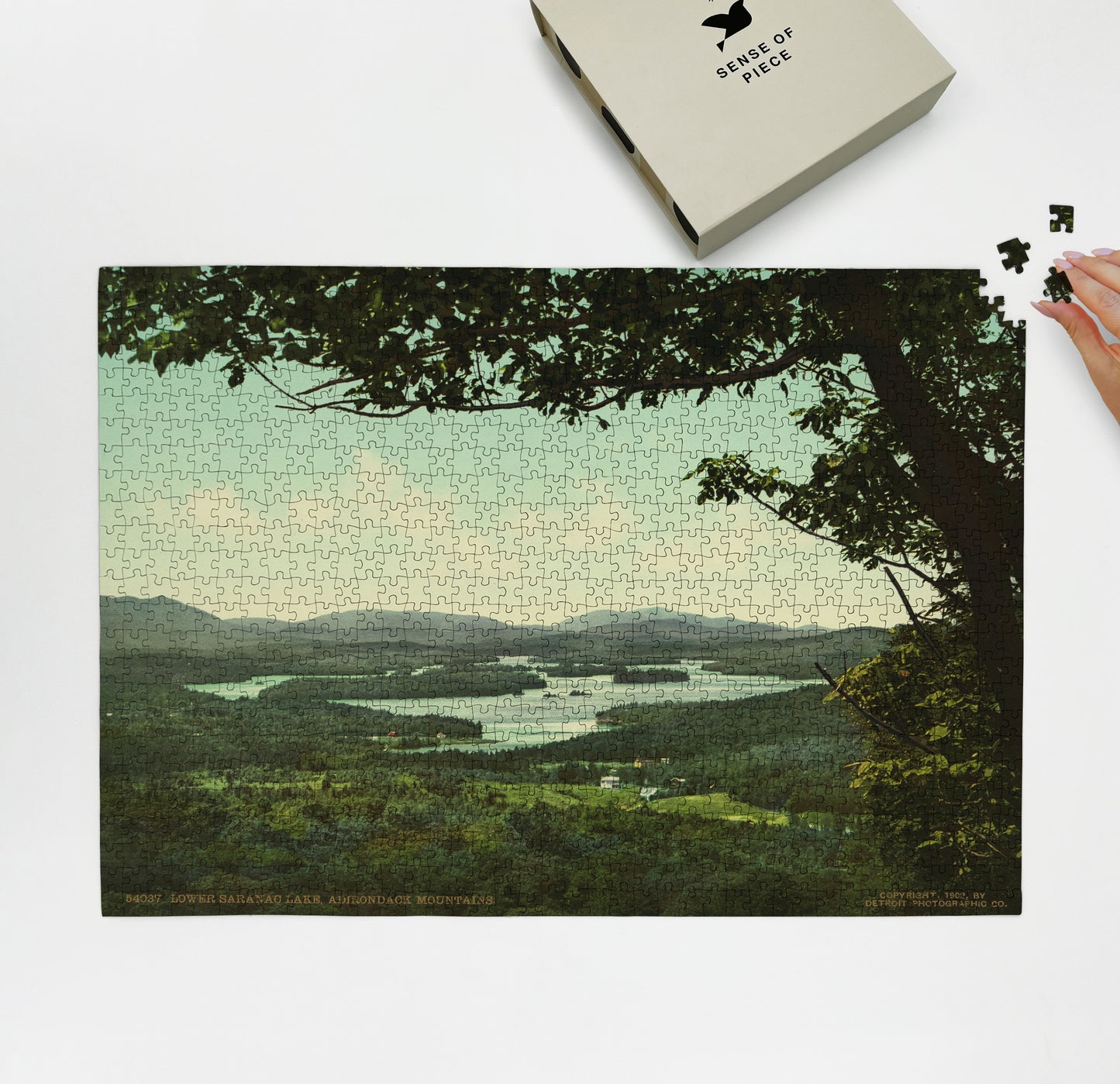 1000 piece puzzle 1902 Lower Saranac Lake Adirondack Mountains, New York NY