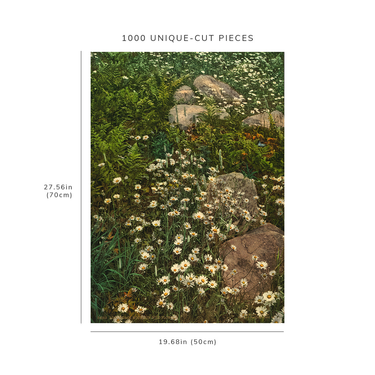 1000 piece puzzle - 1902 | Adirondack mountain wild flowers | New York | NY | Birthday Present Gifts