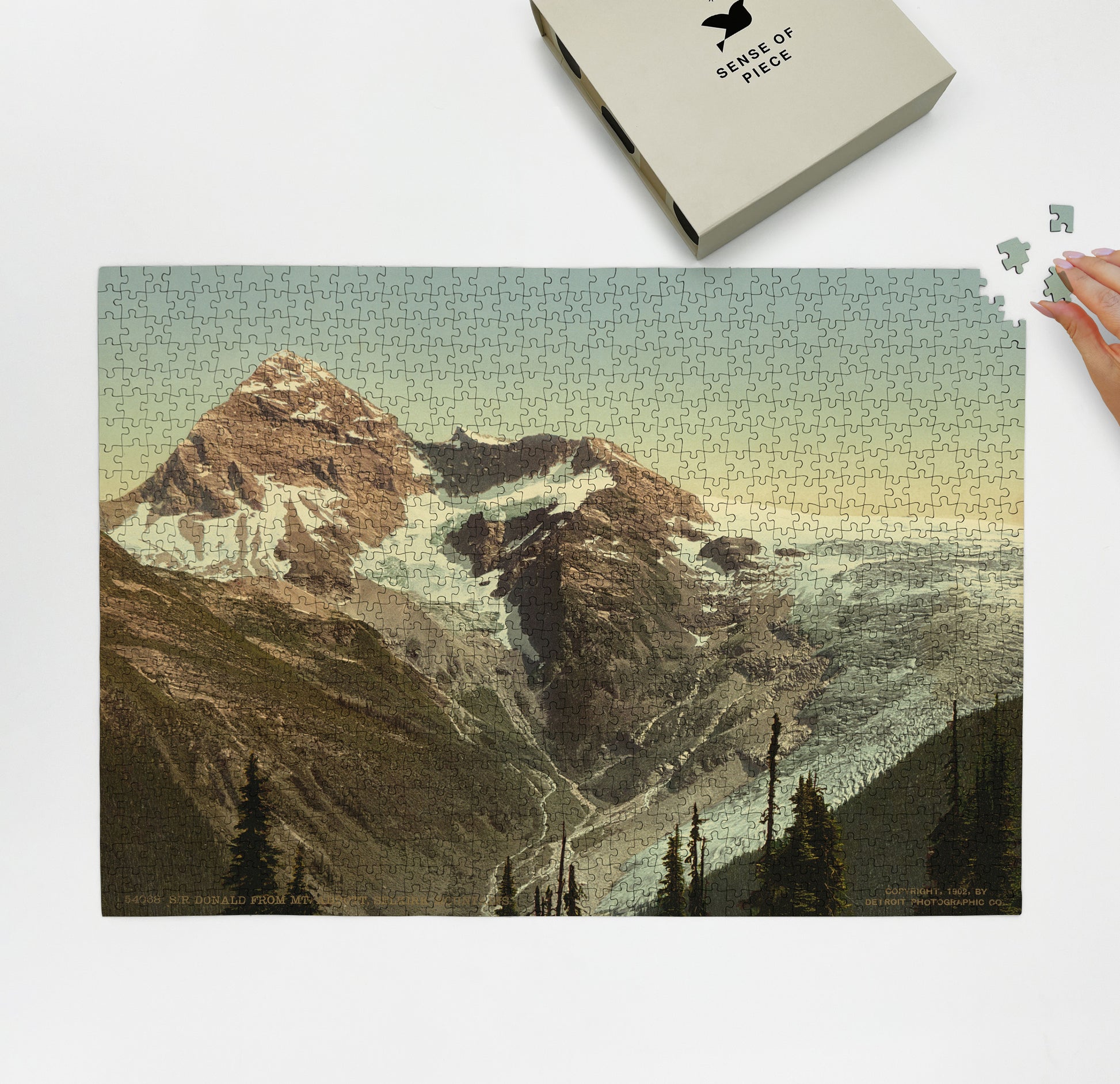 1000 piece puzzle 1902 Sir Donald Mt Abbott Mount| Selkirk Mountains British Columbia, Canada