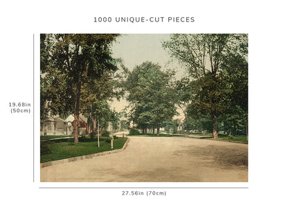 1000 piece puzzle - 1898 | Detroit | Western Boulevard | Detroit Photographic Co | Birthday Present Gifts
