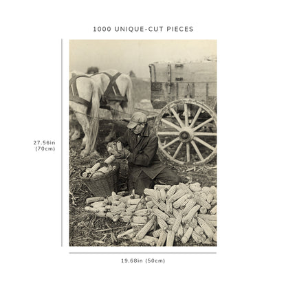 1000 piece puzzle - Loading husked corn | Washington County, Maryland | Birthday Present Gifts